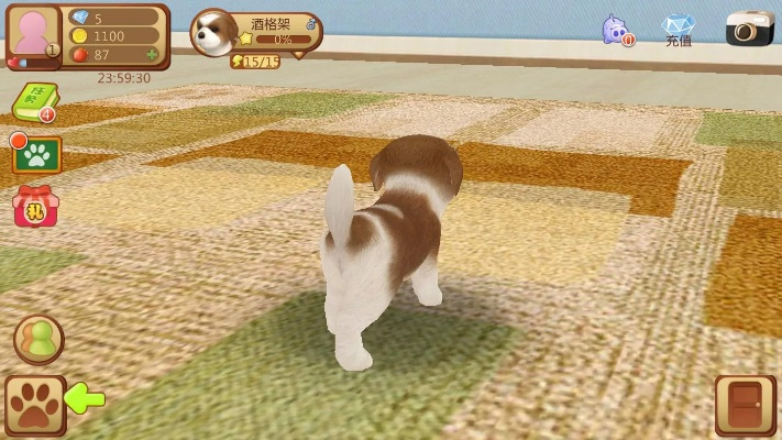 西瓜皮官方下载及心动小狗激活码,数据整合方案设计 增强版_v5.996