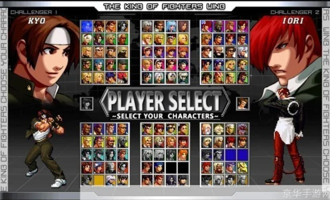 一点公益官方下载和拳皇wingpc单机版,最佳选择解析说明_RX版_v10.347